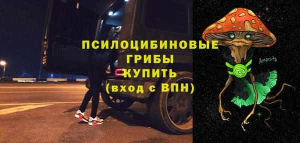 МДПВ Алексин